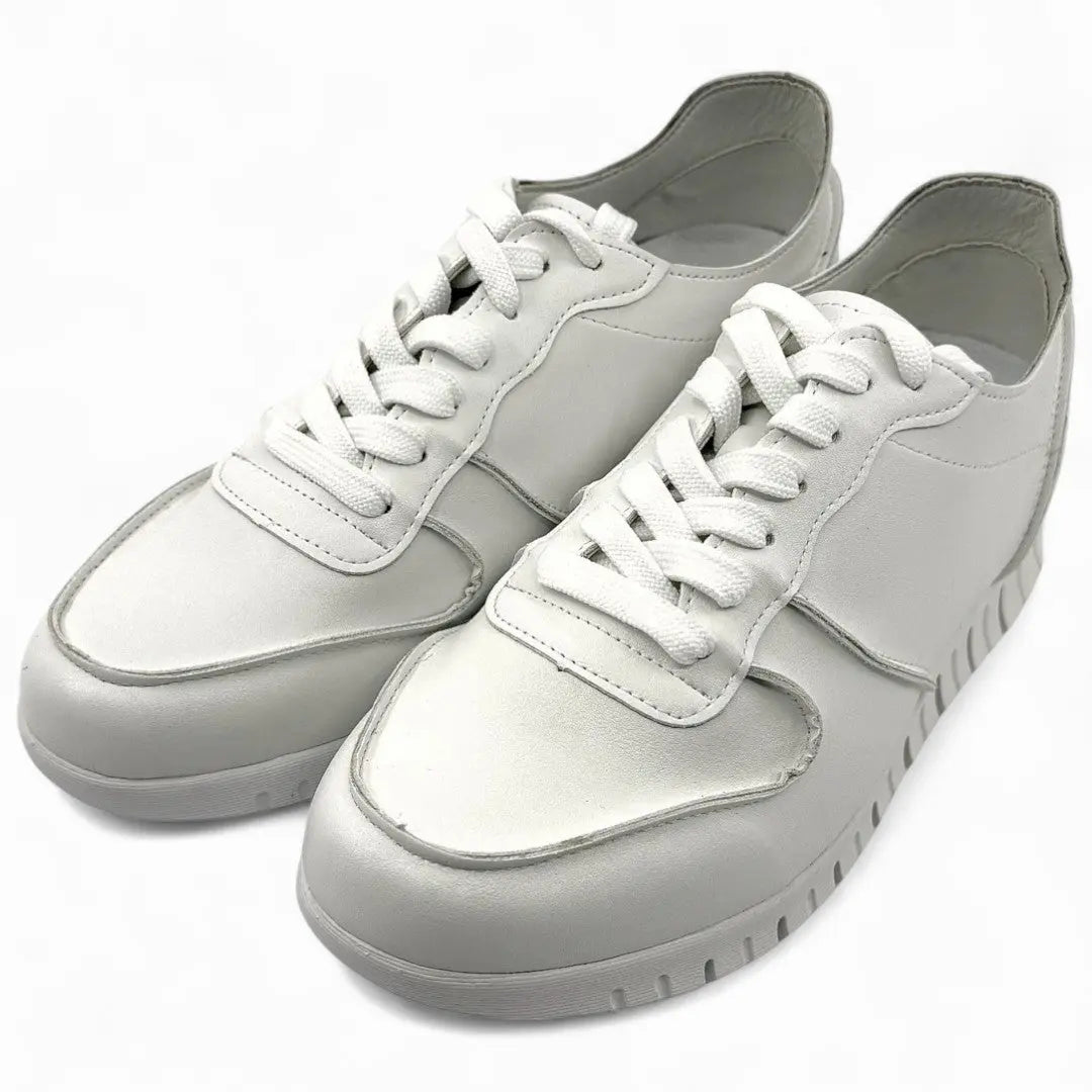 5cmUP シークレットスニーカー no01 私のストア